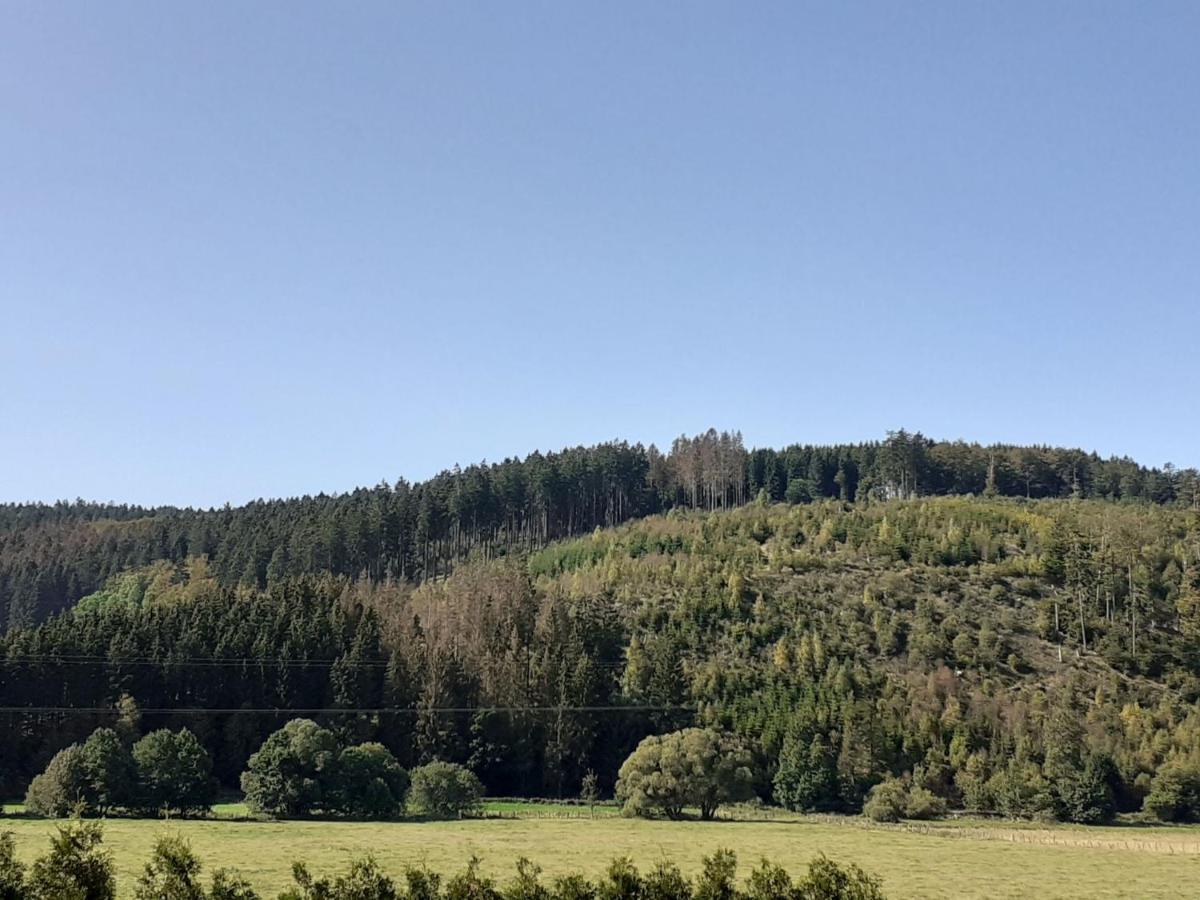 Ferienwohnung Jule Winterberg Buitenkant foto